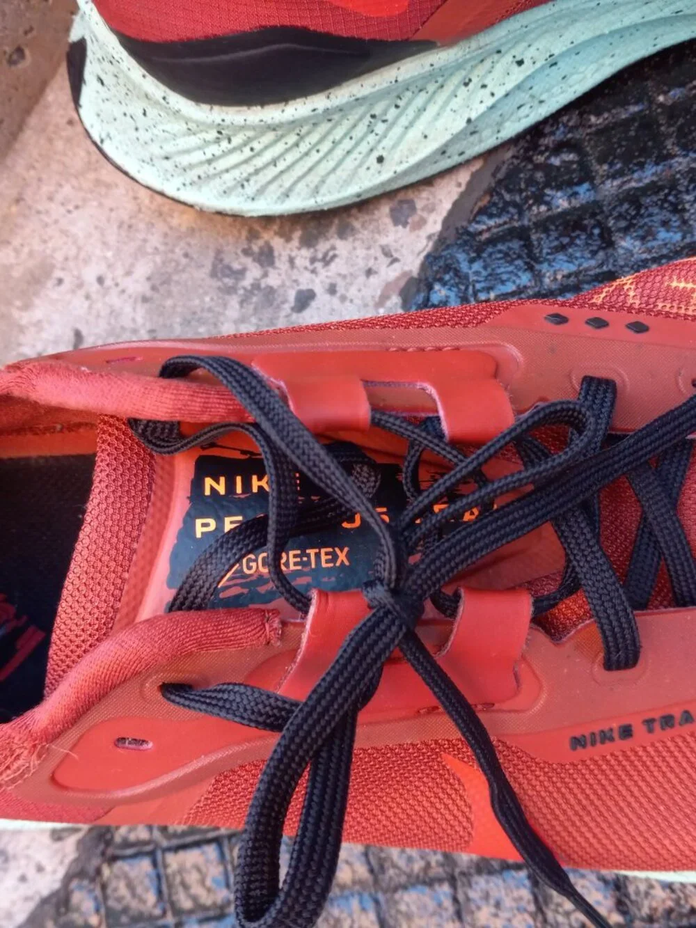 Nike Pegasus Trail 3 GTX GORE-TEX Rugged Orange Size 12 DC8793-800 Waterproof